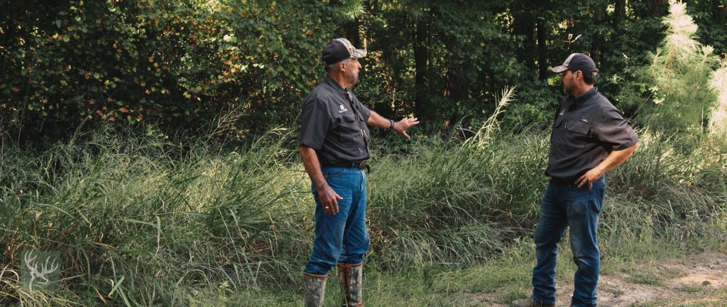 Creating Soft Edges For Deer Has Benefits