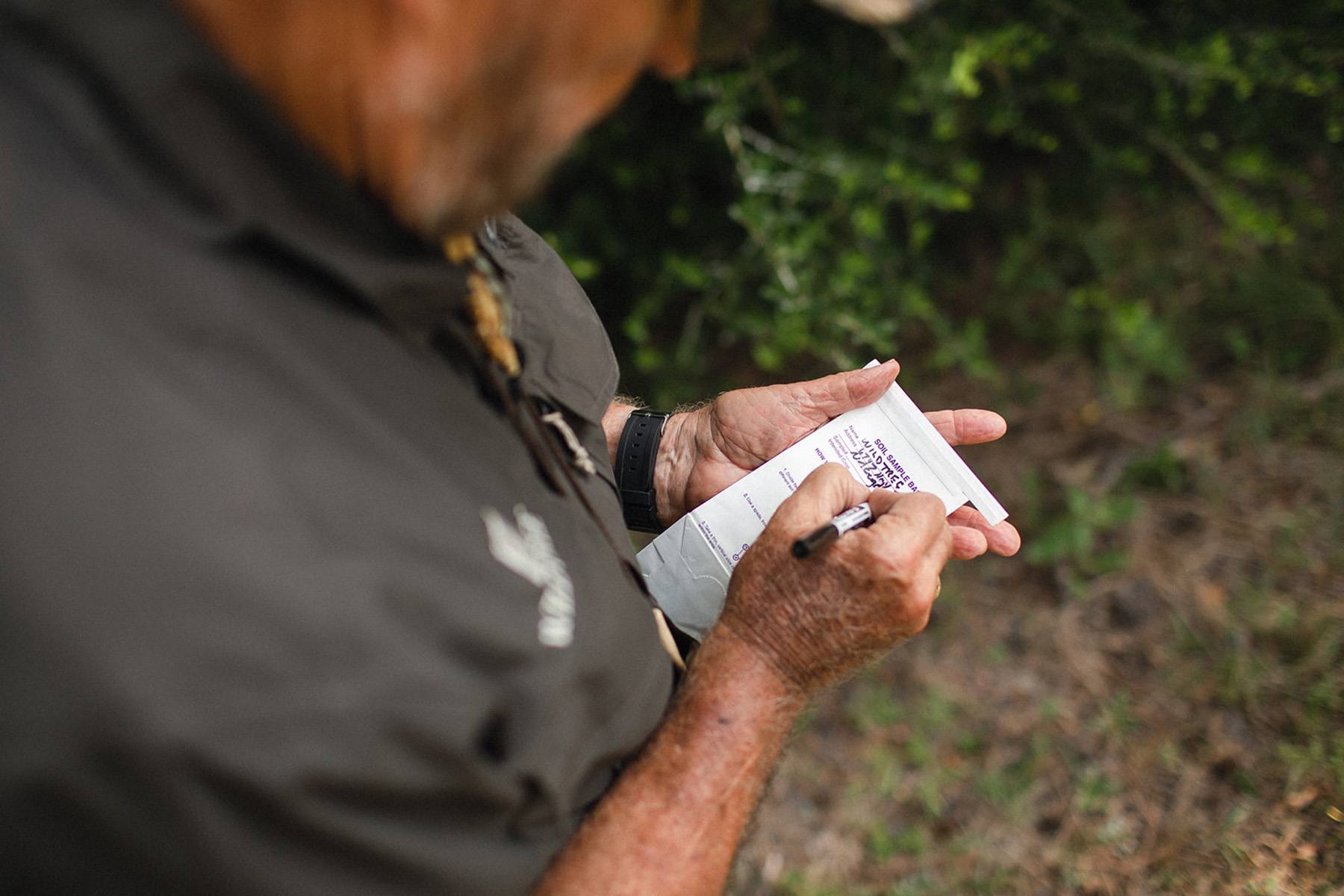 Interpreting A Soils Analysis Report